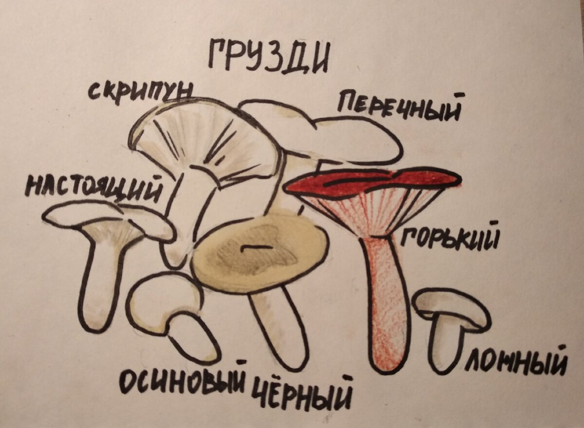 Рисунок автора.