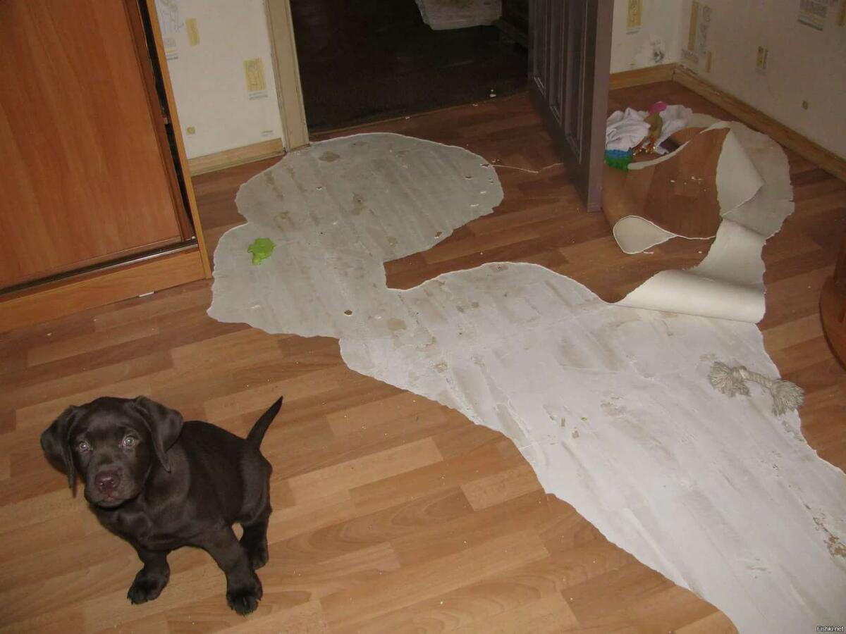 Источник фото: Яндекс Картинки