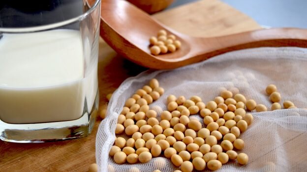 6 видов постного растительного молока, которое легко сделать дома
