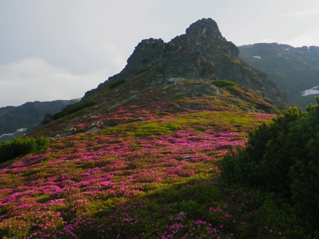 Карпаты румыния