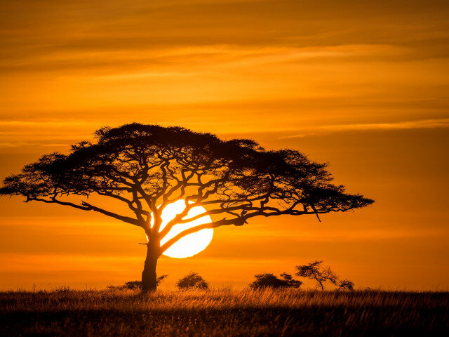 источник mota.ru. Я бы назвал это фото закат Лумумбии.