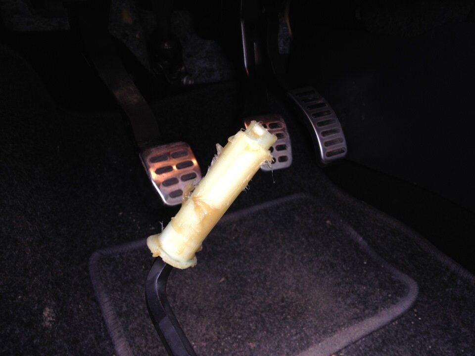 Вот она подруга. Фото из интернета.