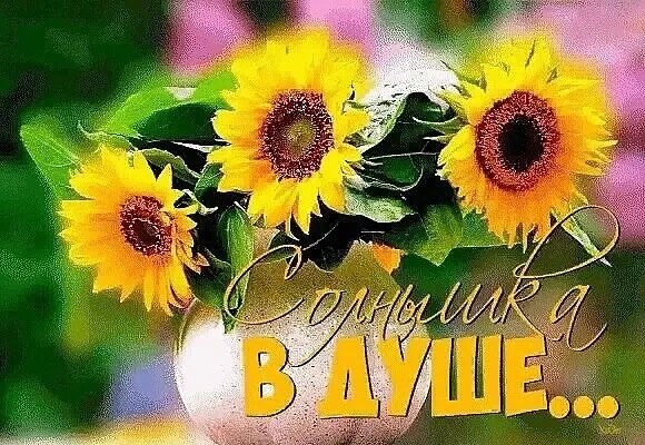 Очень надеюсь на Вашу поддержку кнопкой "палец вверх" и подпиской на канал. Спасибо заранее.