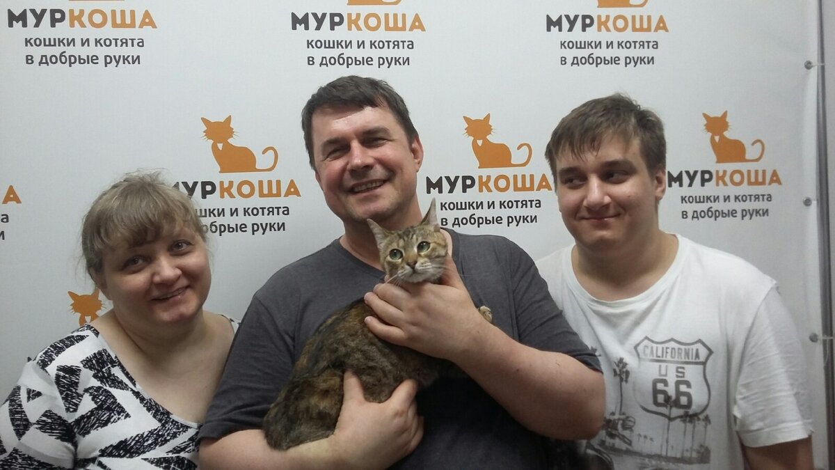 Им повезло, ведь теперь у них есть дом 🐈🏠🐈 | Центр помощи кошкам  «Муркоша» | Дзен