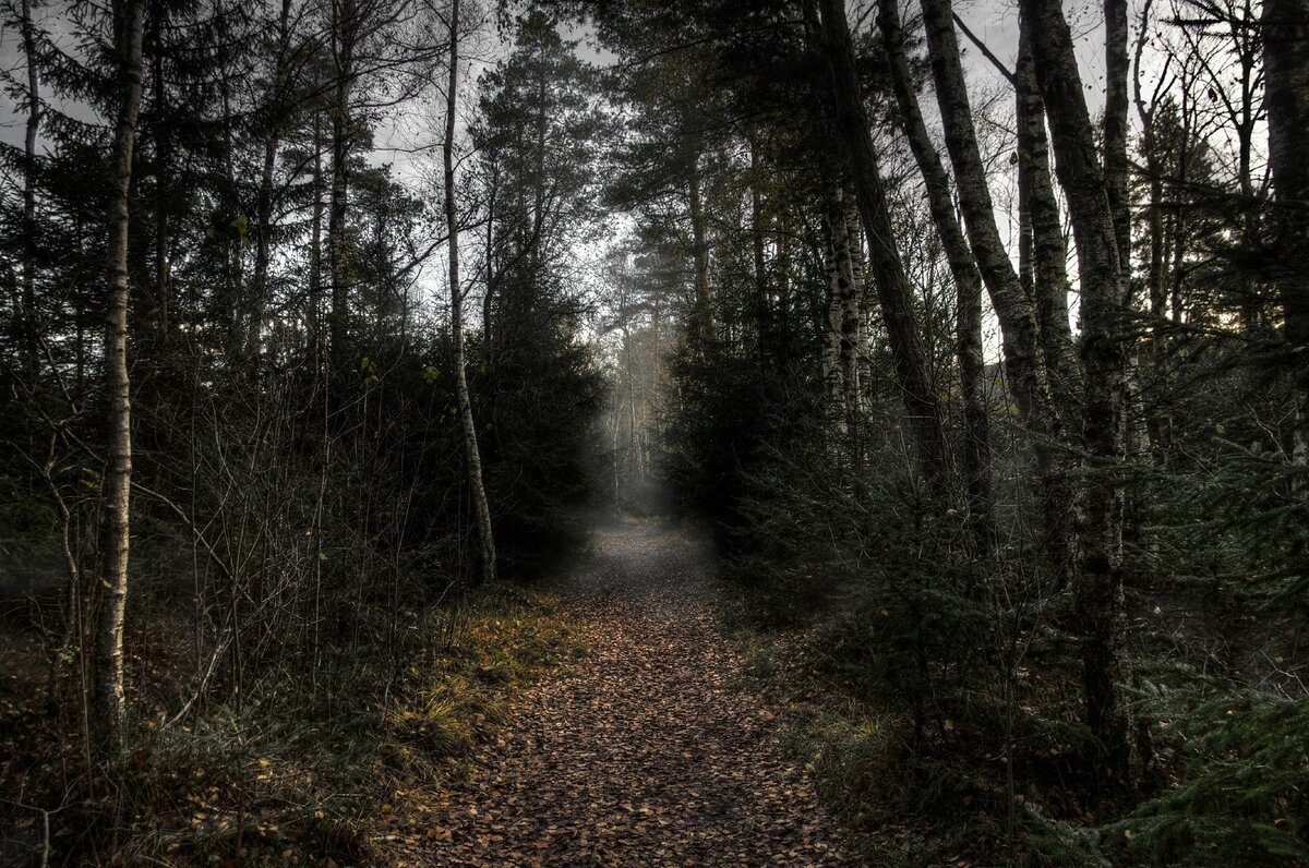 фото взято с открытых источников