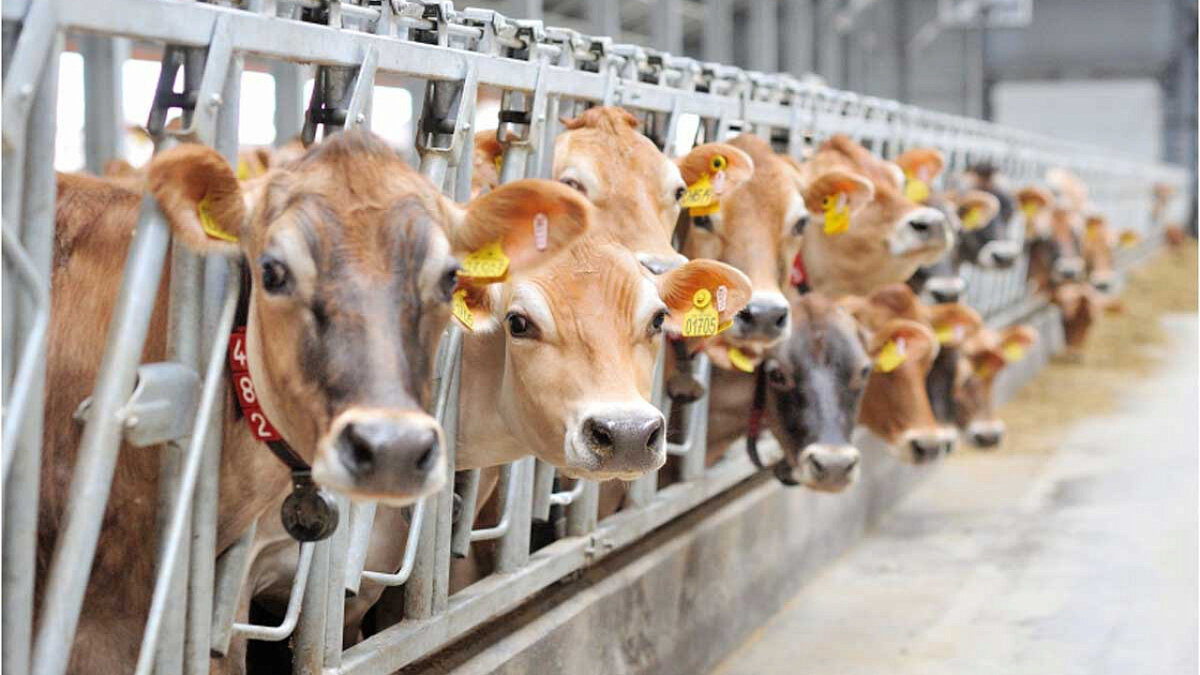 Фото: https://sdelanounas.ru/