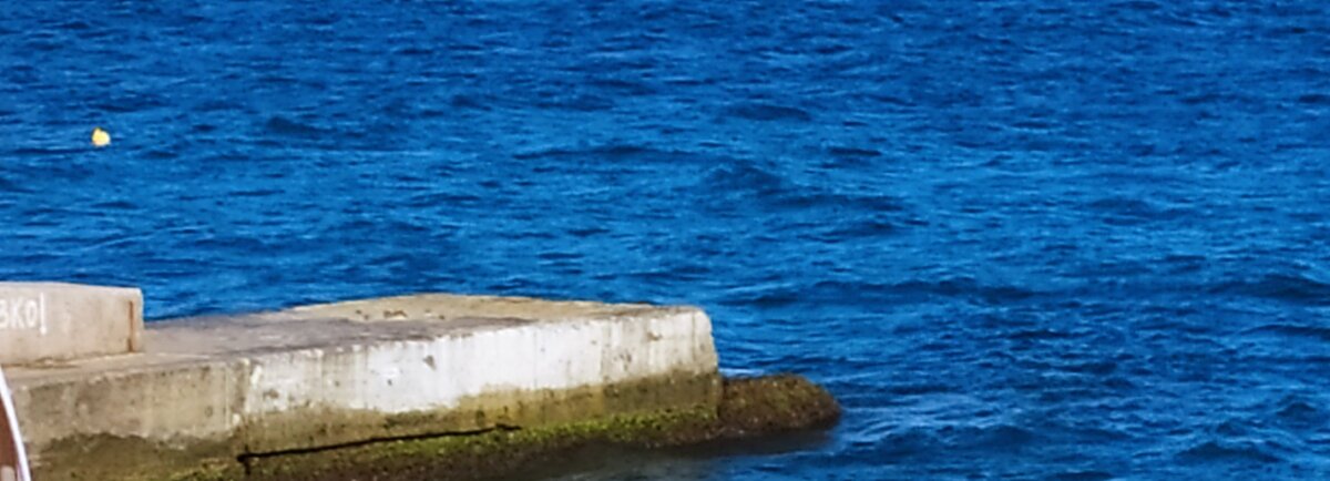 Крым. Ялта. Черное море. Фото автора.