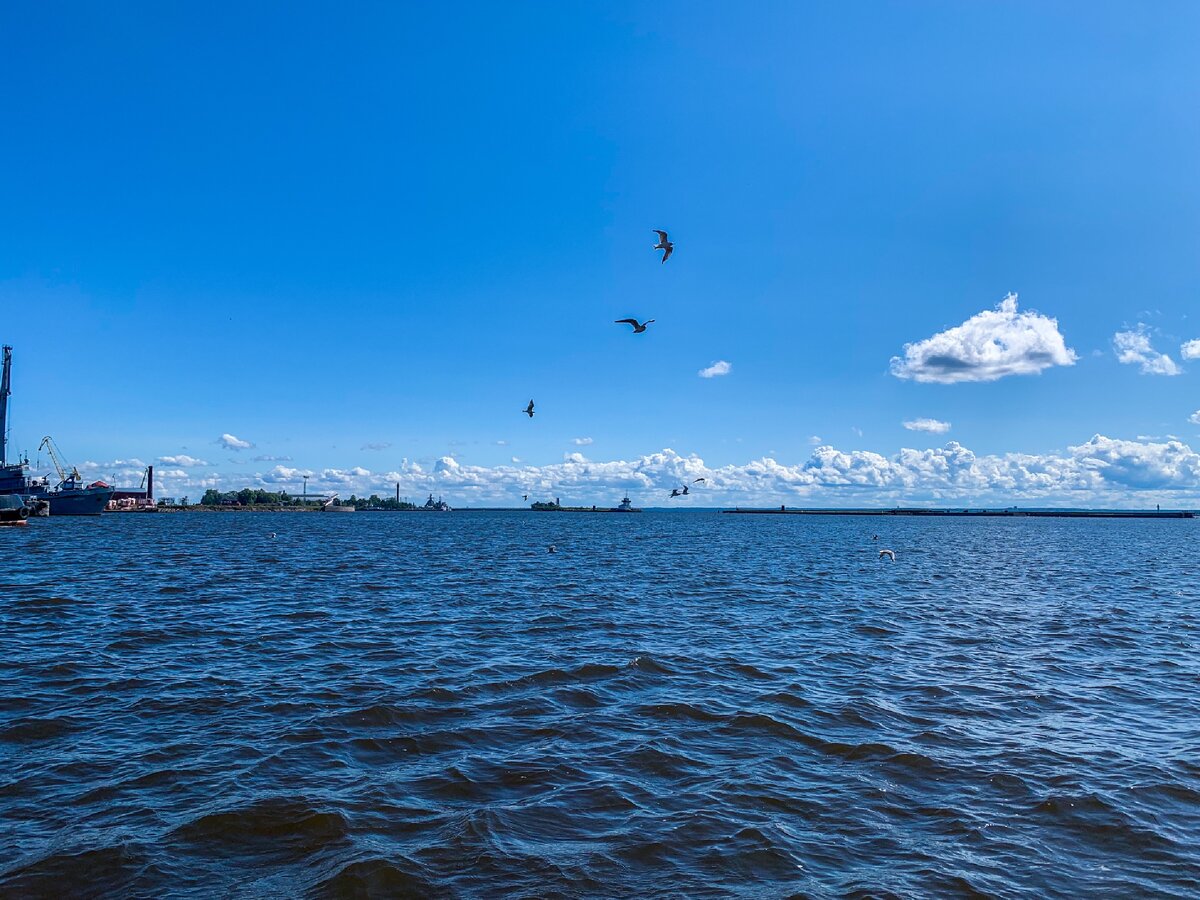 Финский залив