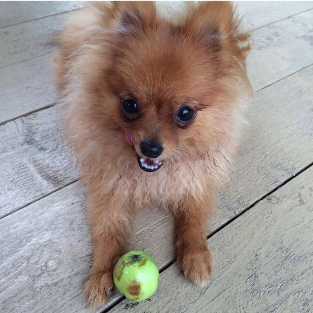 Дюна в 2 года. 