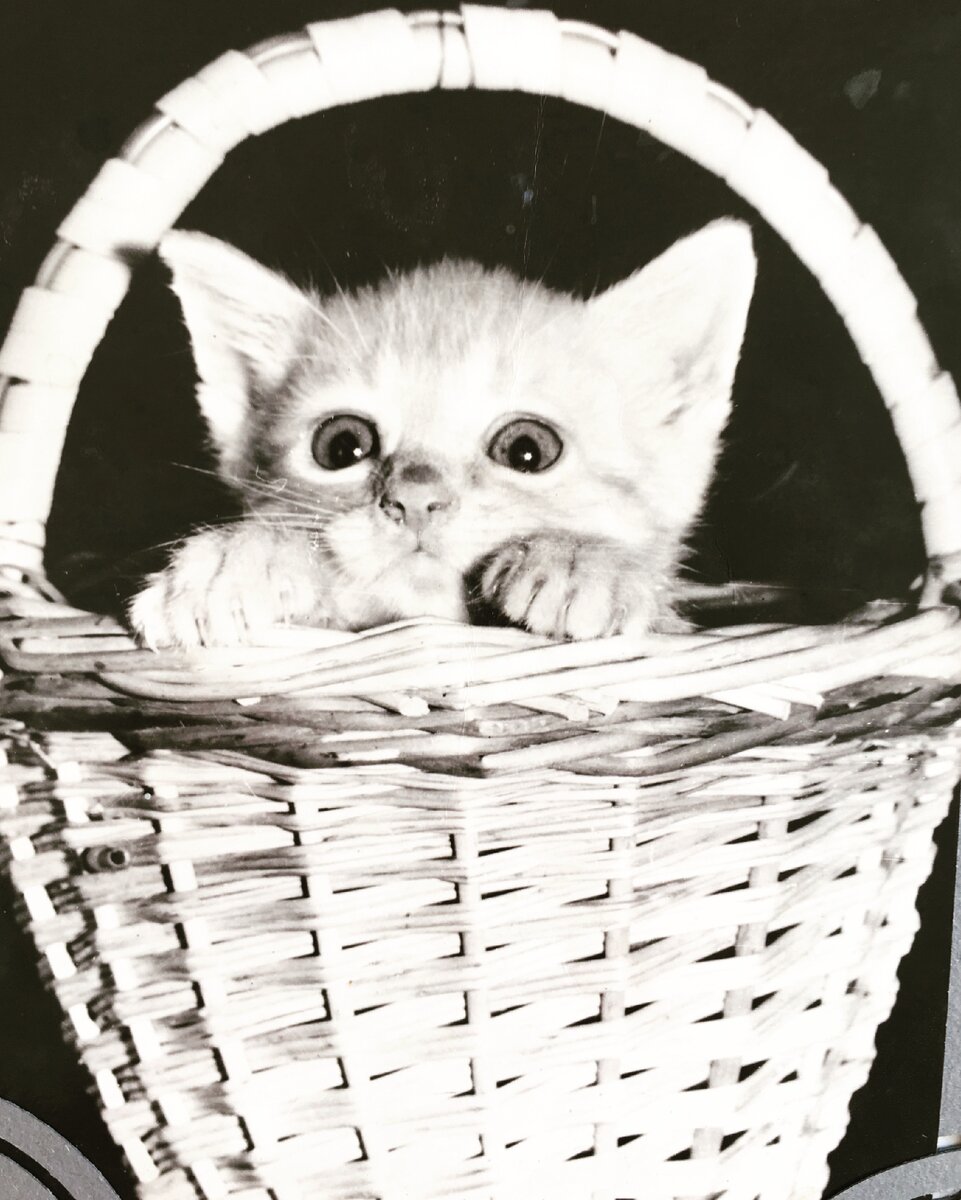 Что же делать?