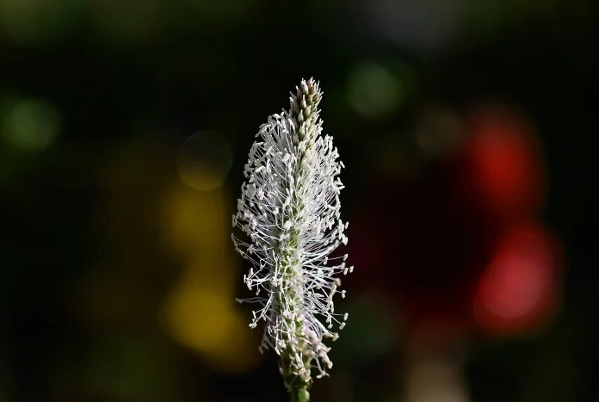 Фото: pixabay.com