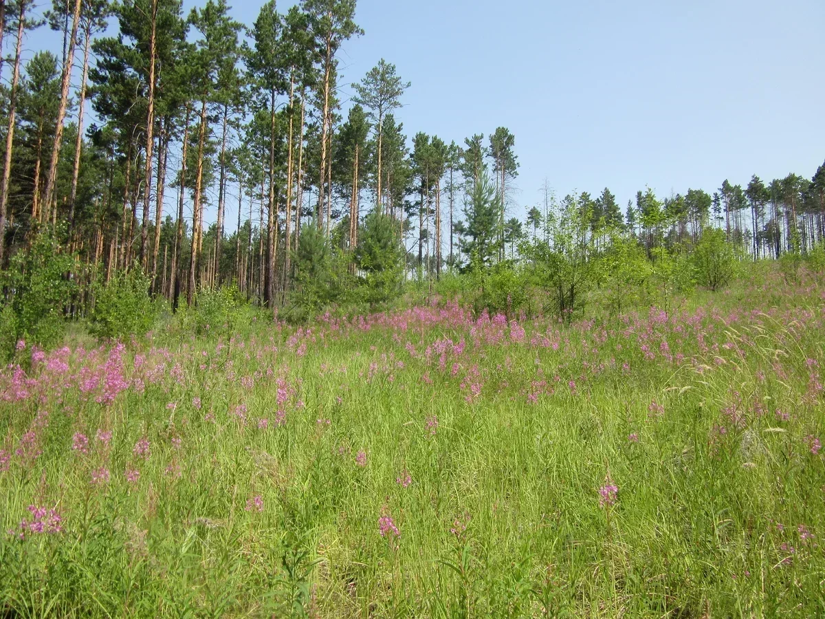Автор фотографии Евгений Читинский