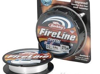 фото из сети Интернет