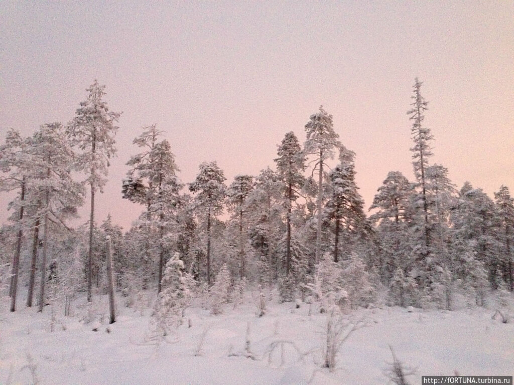 Почему зима чародейка