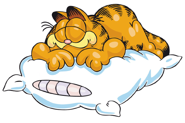 Не стоит брать в постель домашних животных