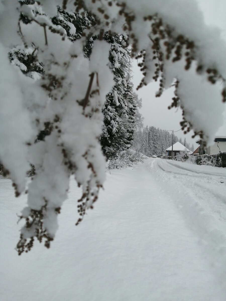 Где-то в Горной Шории