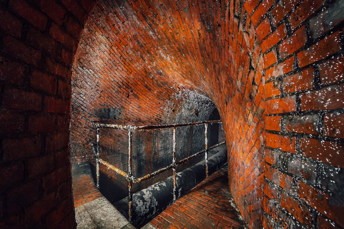 Совершенство линий