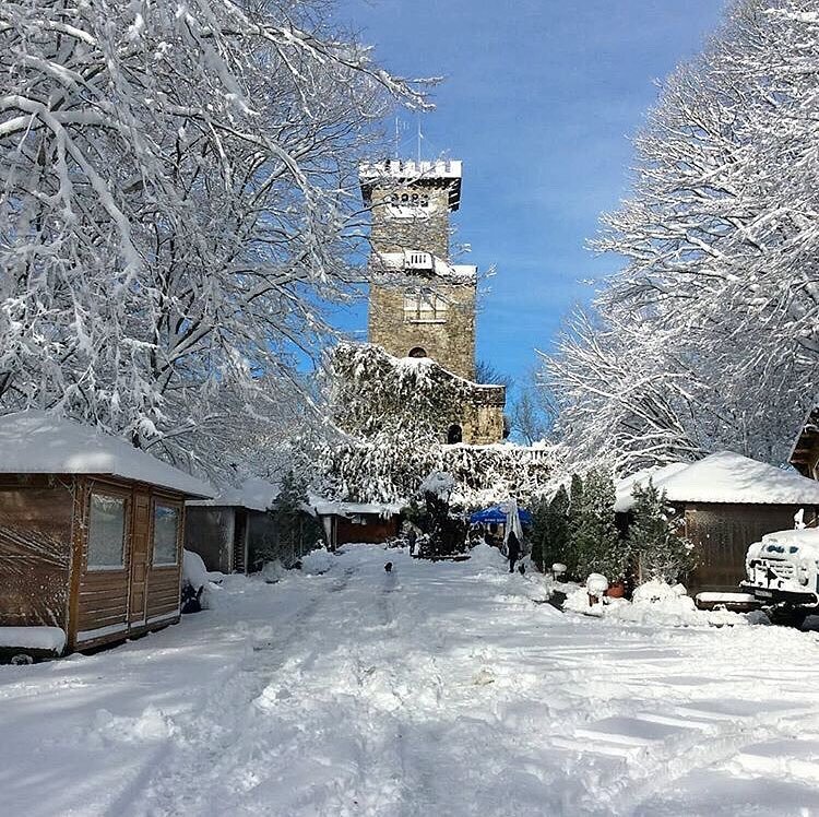 Выбор недвижимости в Сочи.