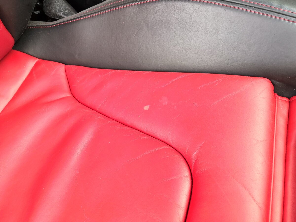 фотография автора