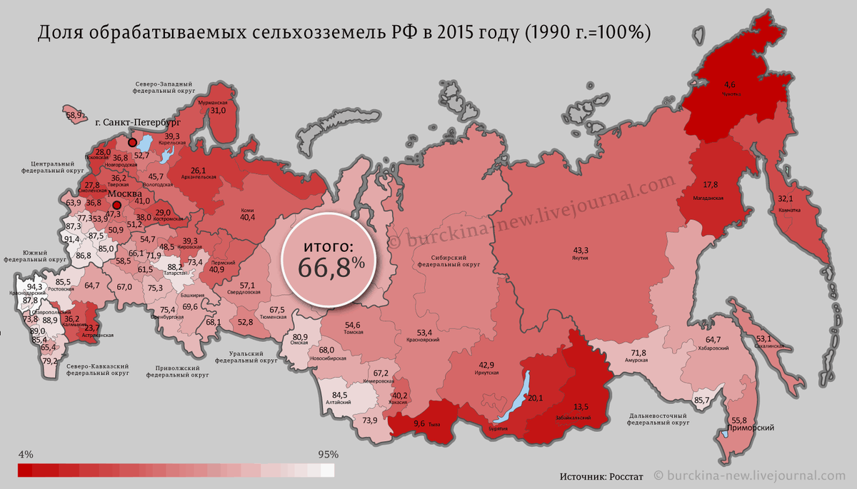 Власть решила, что делать с лесом, выросшем на заброшенных полях