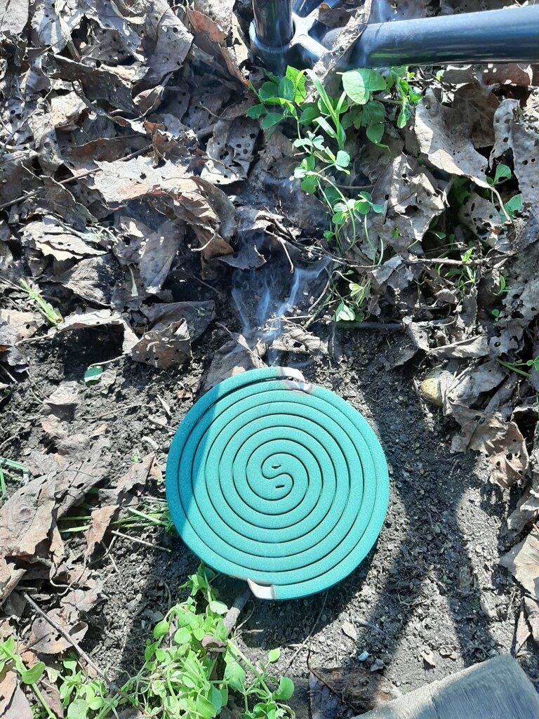 Изображение принадлежит каналу