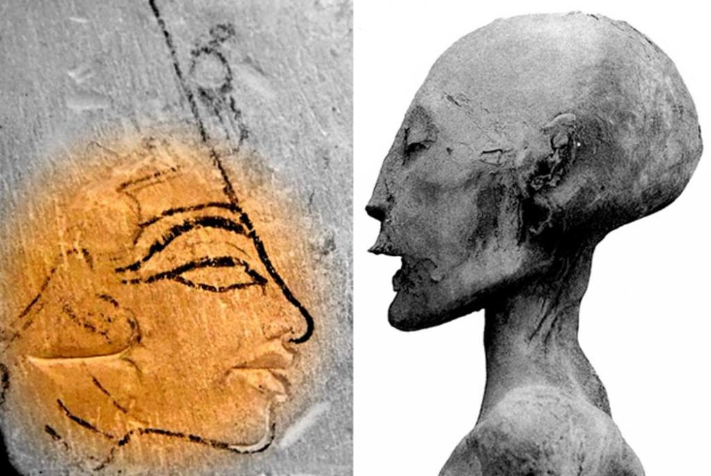 Как по-настоящему выглядела Нефертити: ученые воссоздали ее лицо