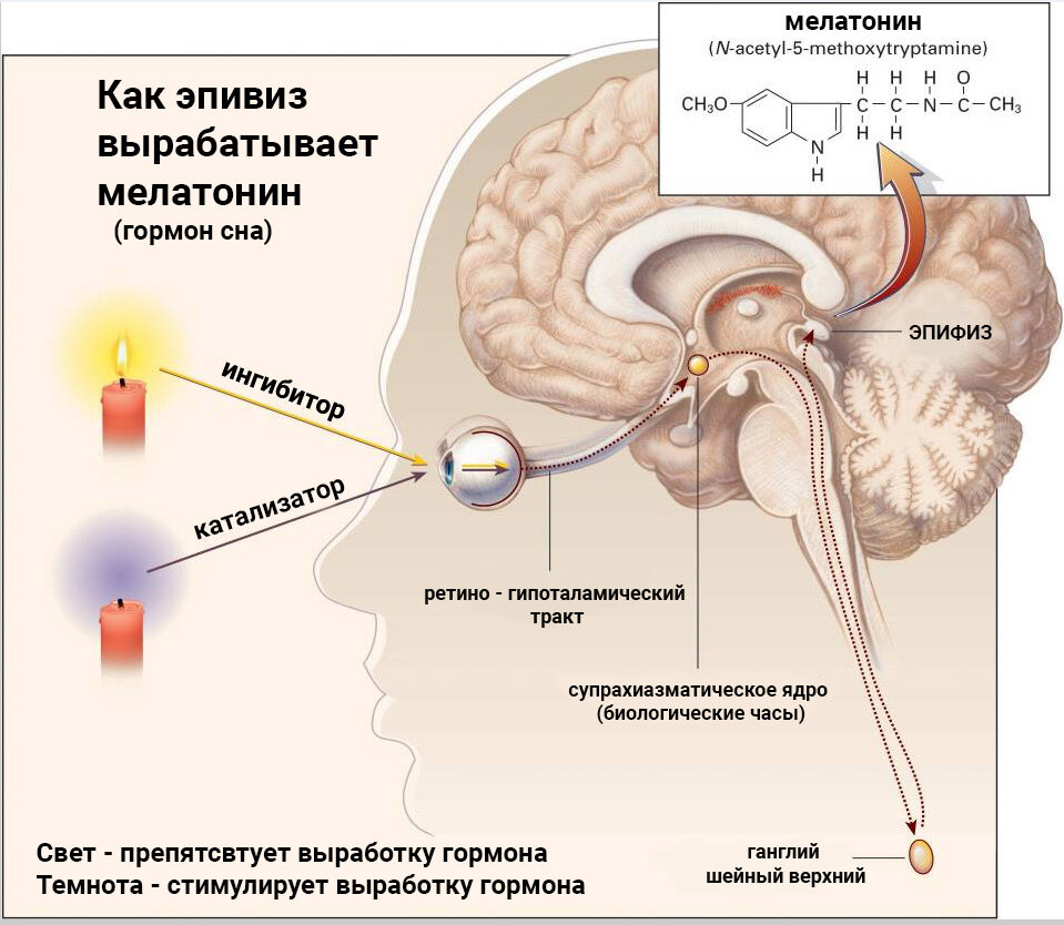 Источник https://athletic-store.ru