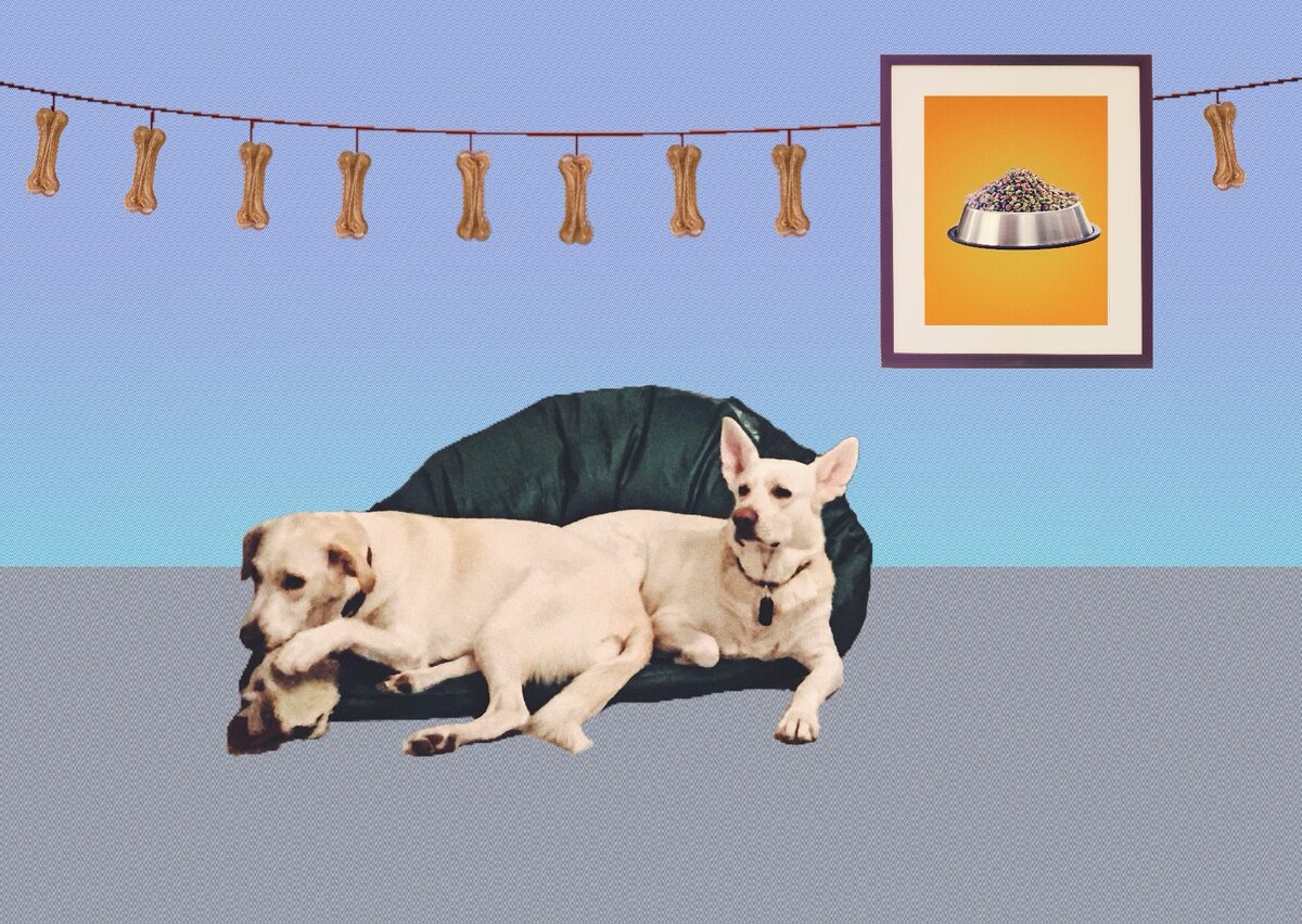 Картинки для иллюстрации взяты из сети Интернет