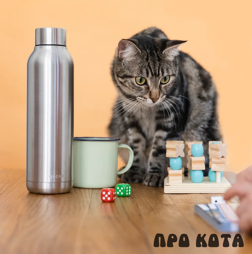 Любой предмет может стать игрушкой