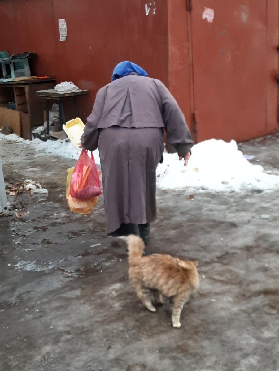 Светлана Федоровна с одной из своих кошек