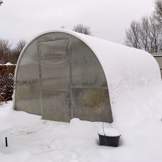 Одна из моих теплиц на дачном участке