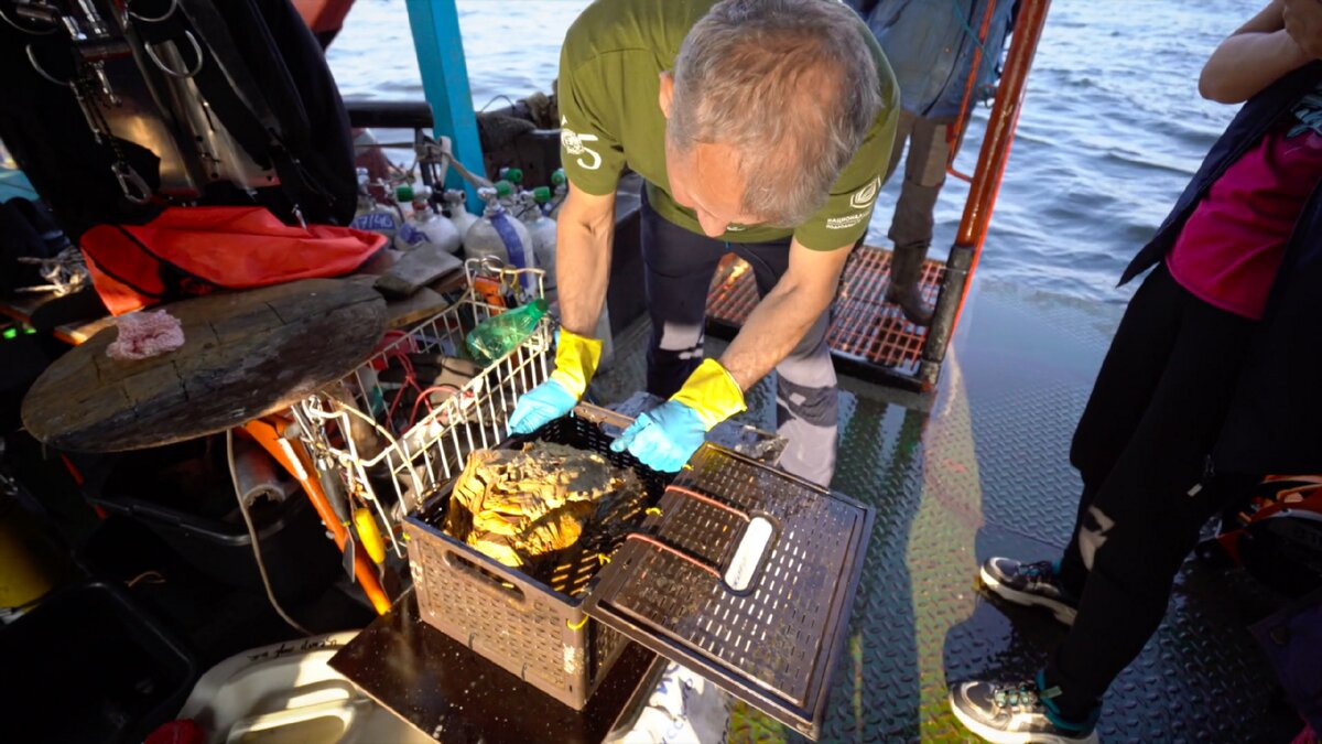 Фото предоставлено ЦПИ РГО