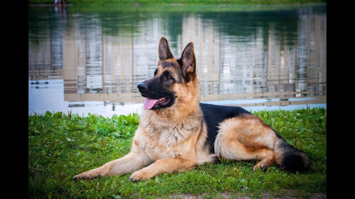 фото взято с яндекс картинки