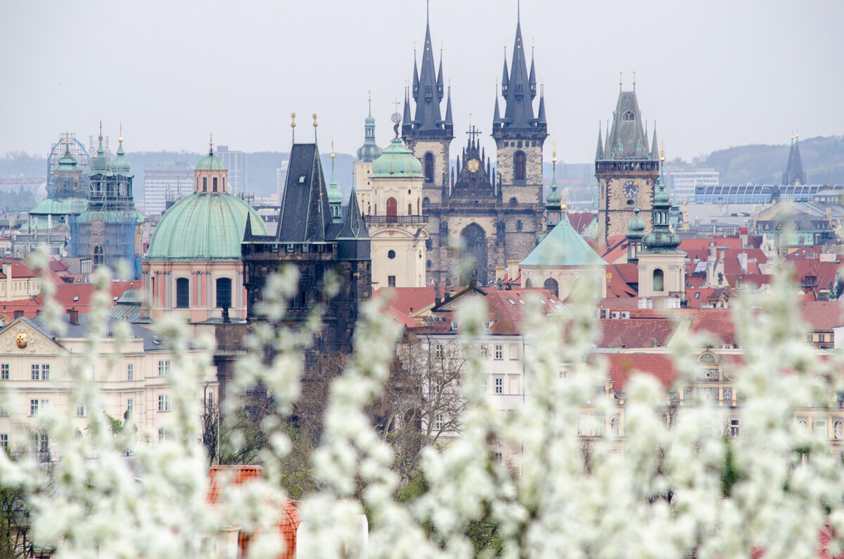 Весна в Праге