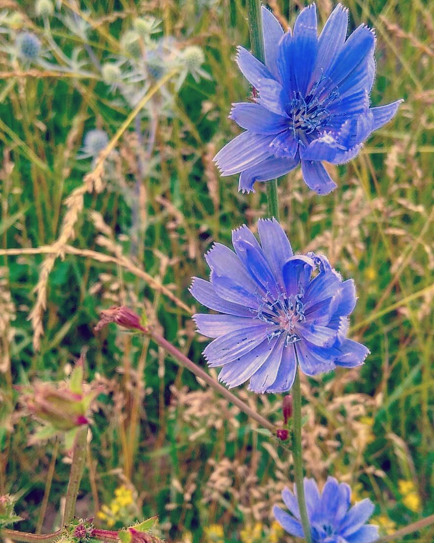 Фото сделаны мной