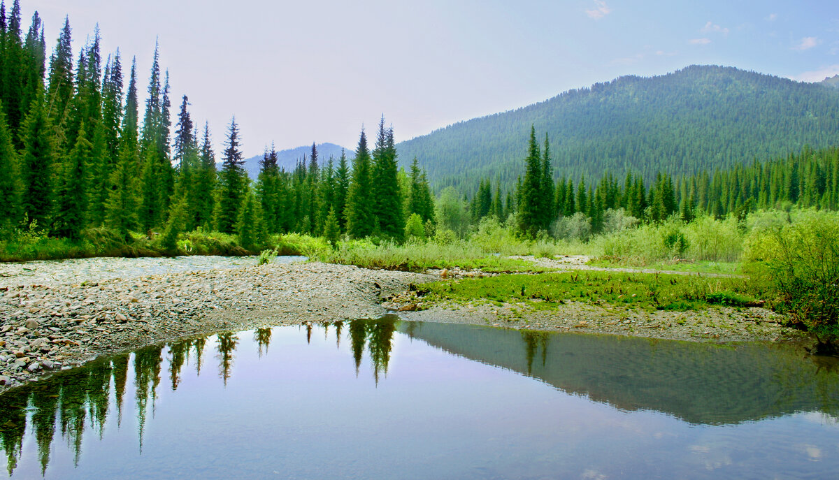 Фотография, стихотворение Василия Глуцкого