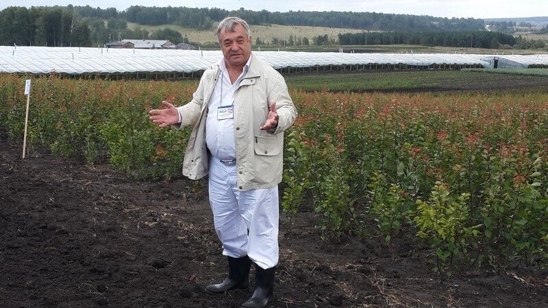 Владимир Васильевич Степанов на полях. Фото из открытого источника ruspitomniki.ru