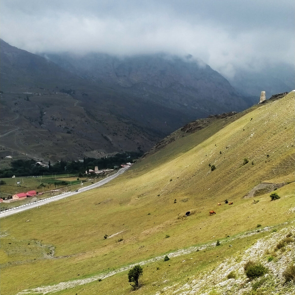 Самая комфортная и безопасная дорога в город мёртвых Даргавс. Проверено  лично | Душевный шагомер | Дзен