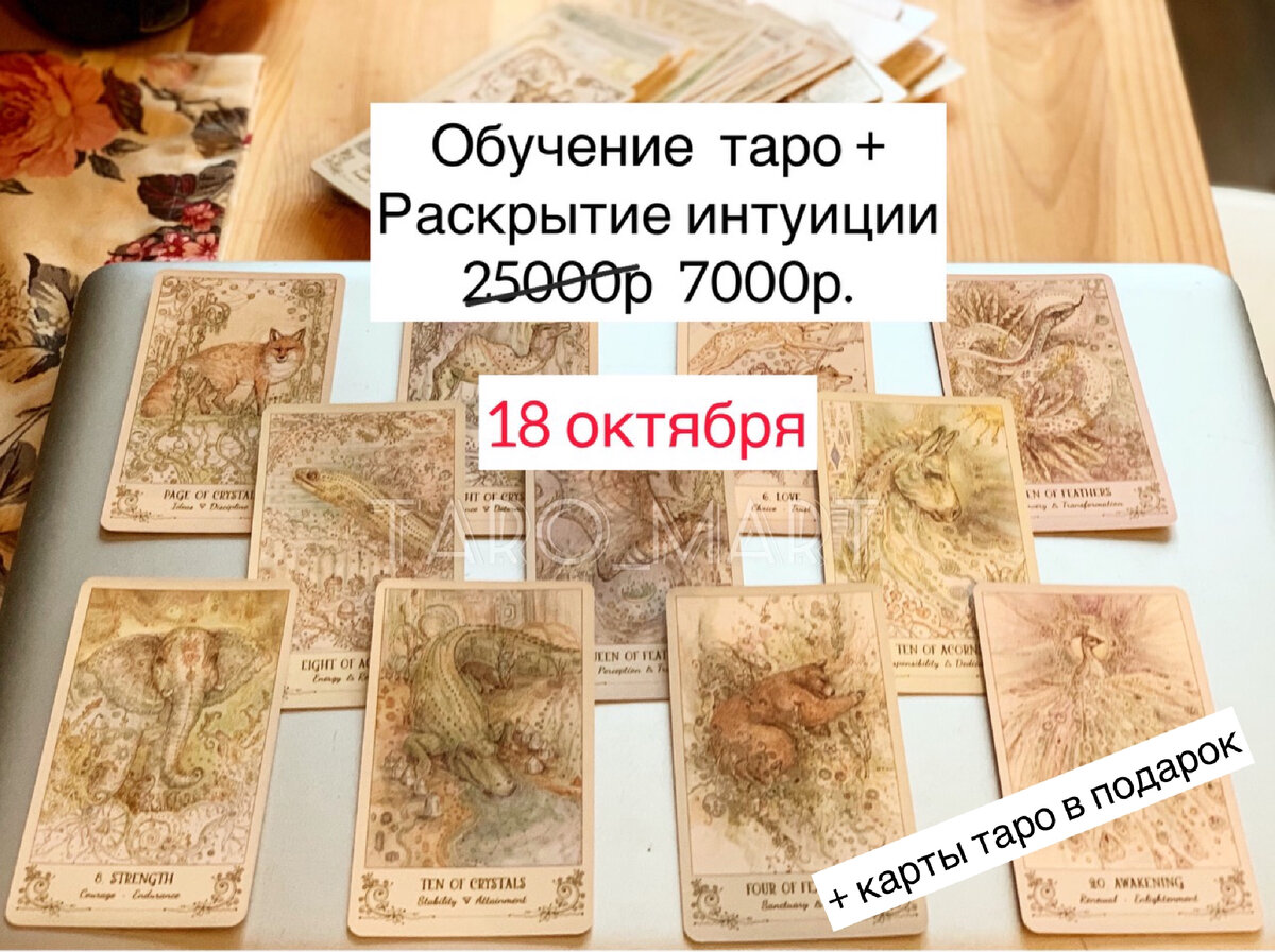 Фото из личной коллекции автора 