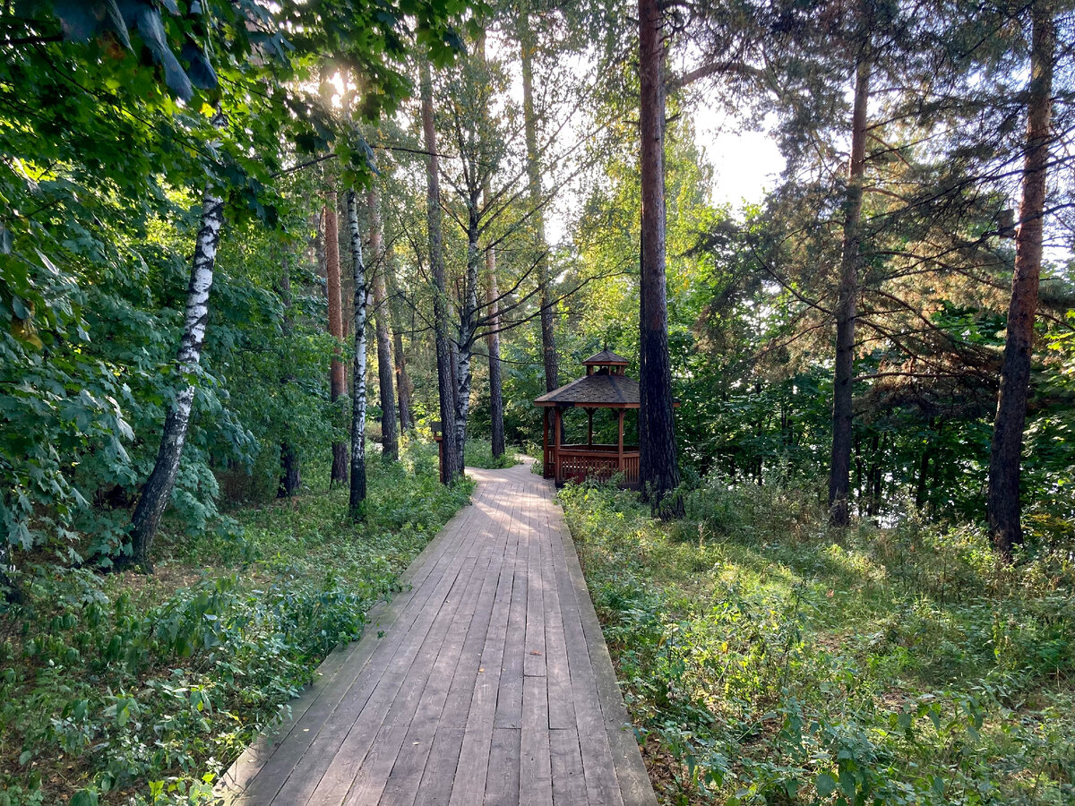 Лесная тропа между 3-й линией Хорошёвского Серебряного Бора и набережной. Источник изображения: «Москва. Детали».
 
