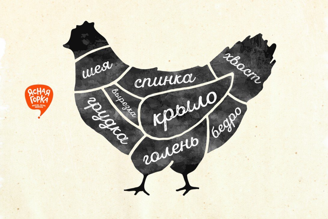 Схема разделки тушки курицы