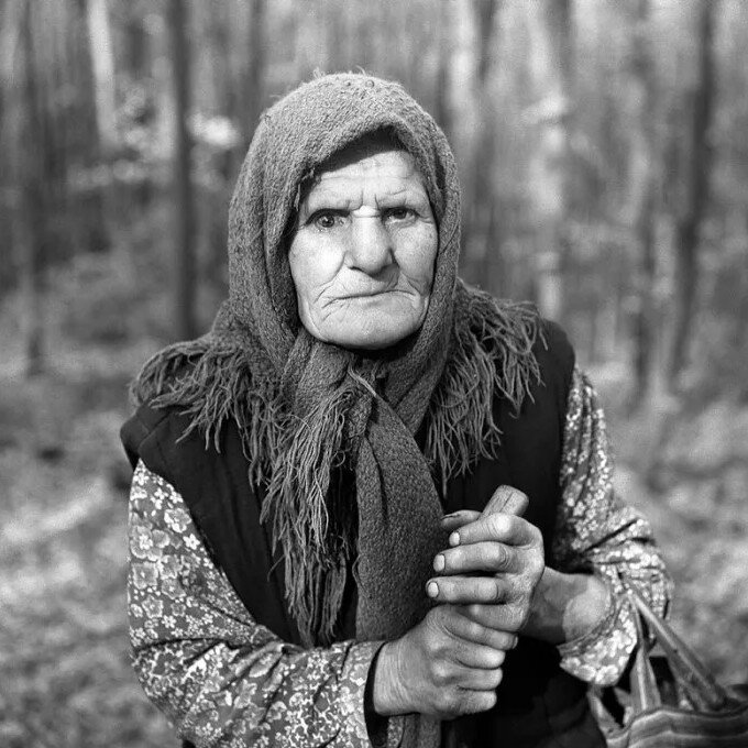 примерная иллюстрация