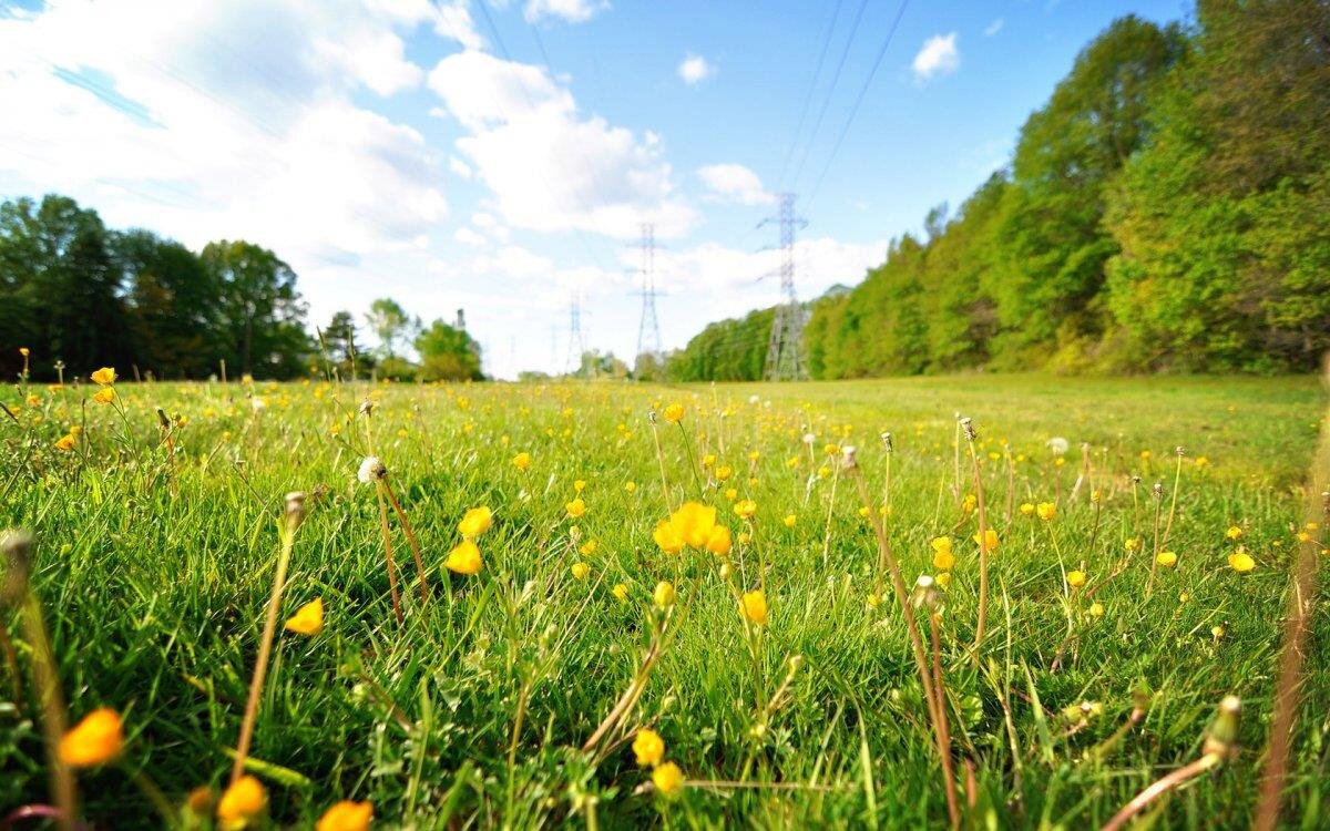 Фото — look.com.ua