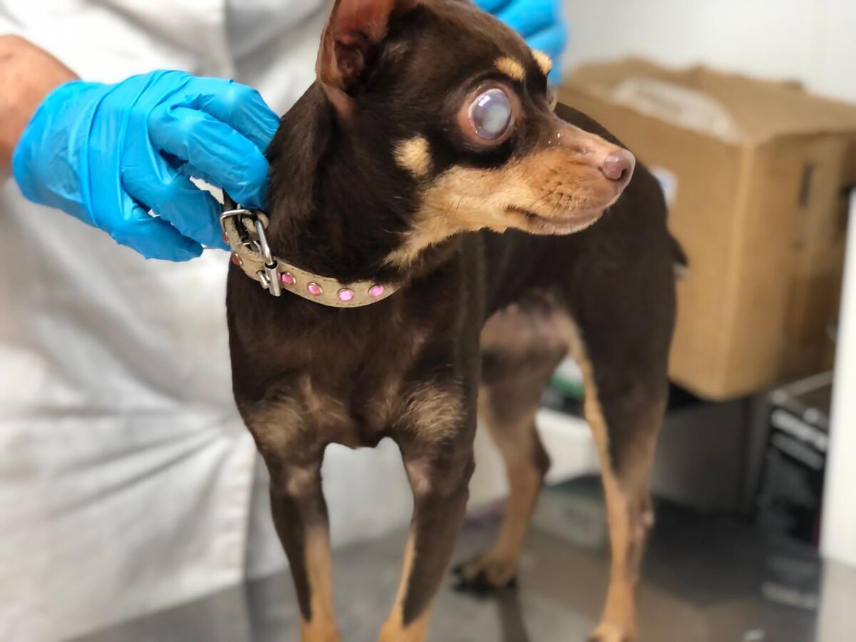 Ей нужна ваша помощь! 