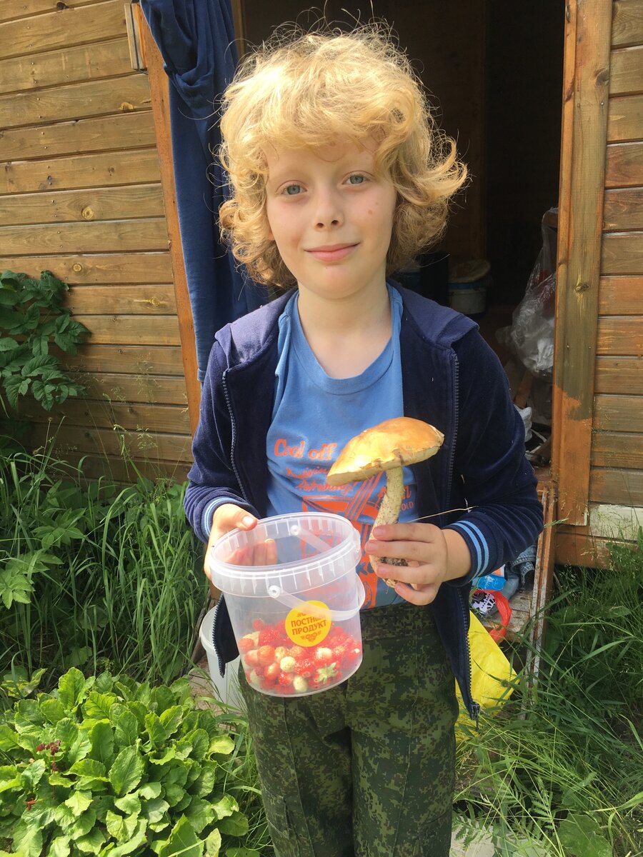 Мой внук Артём радует! - по грибы и по ягоды далеко не ходил, все растет рядом с домом!