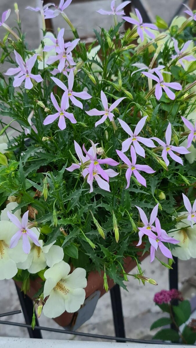 фото из личного альбома