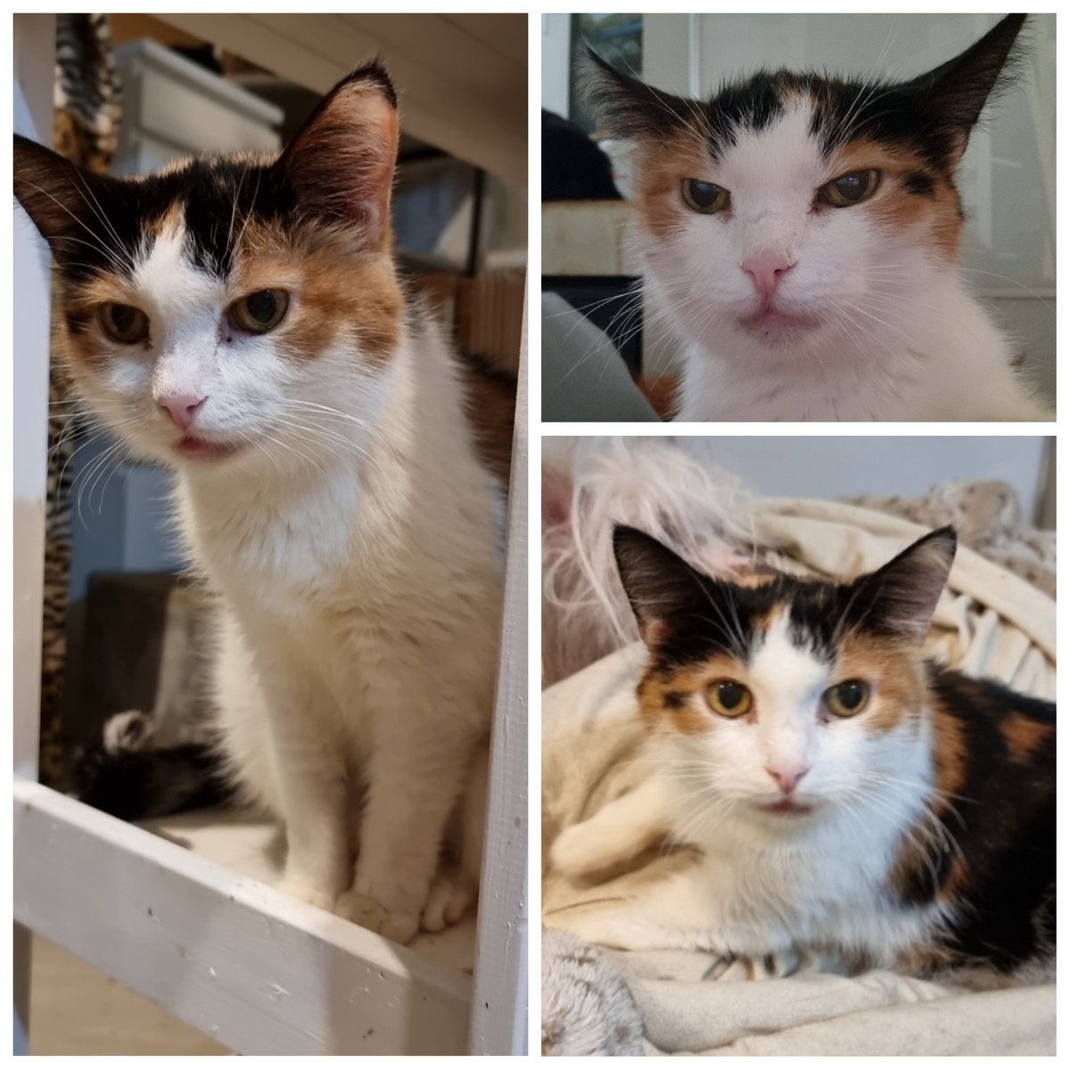 Маша сейчас. 