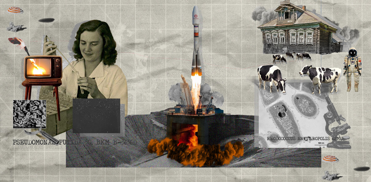 Коллаж: Наталья Чернохатова