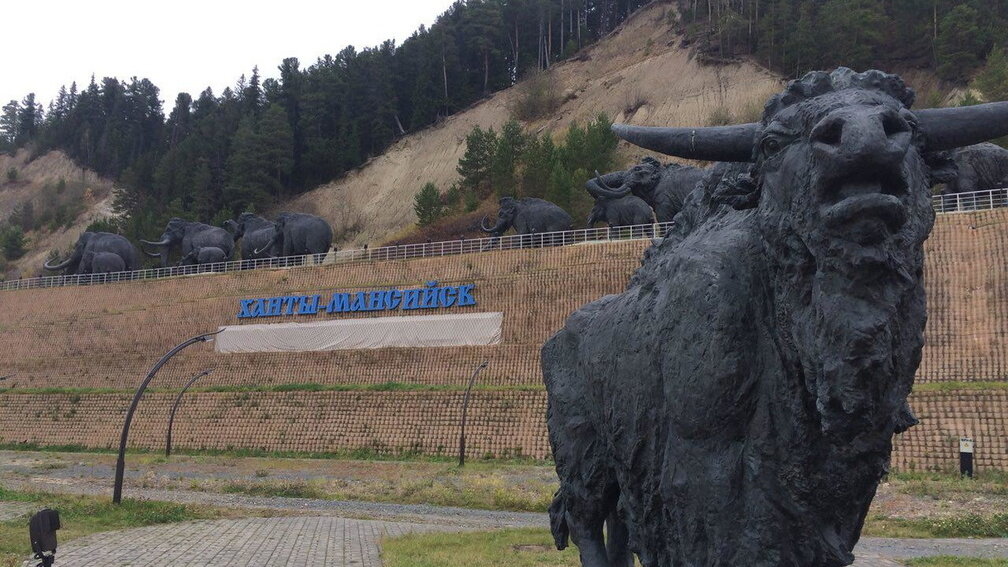     Автор проекта ведет переговоры с губернатором ХМАО Комаровой.