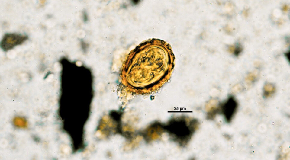   Elisabeth Barsch et al. / Scientific Reports, 2023